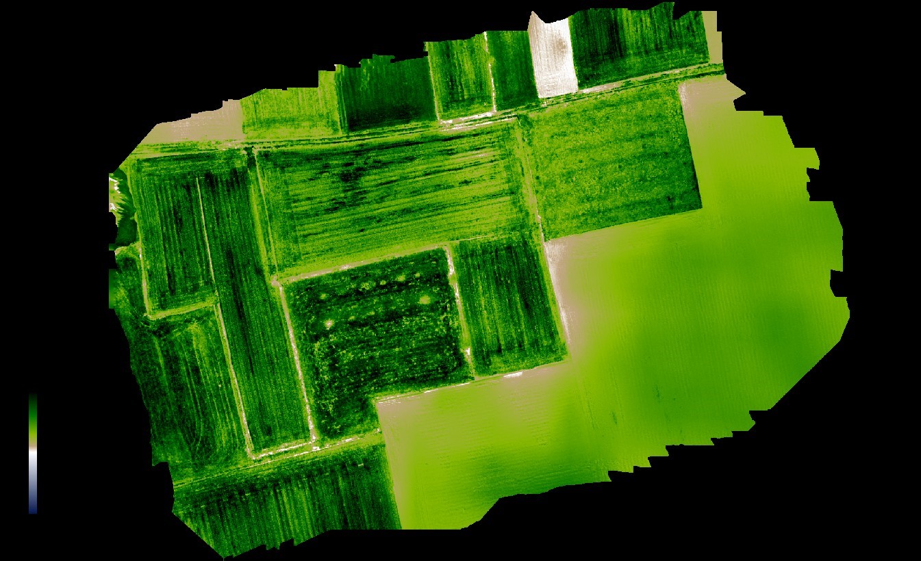 pexels lachlan-ross-7084344